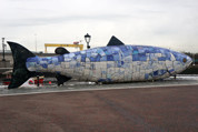 Big Fish Belfast